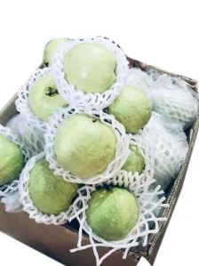 Thai Guava