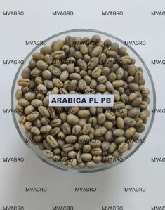 Arabica Plantation PB Peaberry Washed Green Coffee Beans