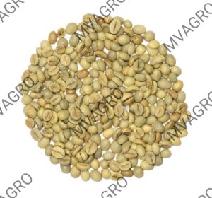 Robusta Parchment AB Green Coffee Beans Washed Scr 15
