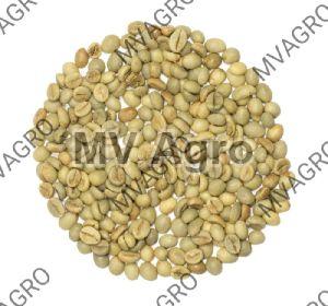 Washed Robusta Parchment PB Peaberry Green Coffee Beans