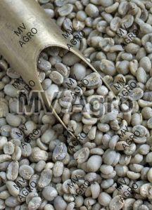 Arabica Plantation PL Bulk Green Coffee Beans