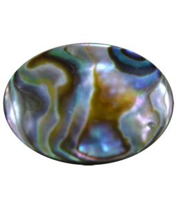 Oval Natural Abalone