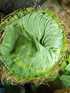 Ambadi betel leaves
