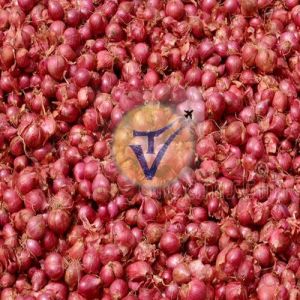 chinna vengayam - Sambar onion