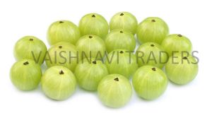 Fresh Green Amla / Gooseberry - Supplier