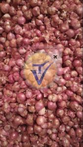 Indian Shallot Onion - Sambar onion