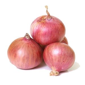 garva onion