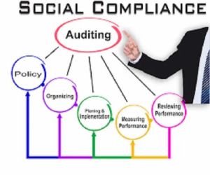 COC Audit Consulting