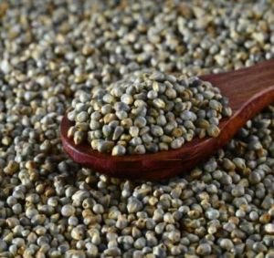 Green Millet