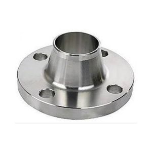 Stainless Steel Weld Neck Flange