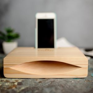 Wooden sound box