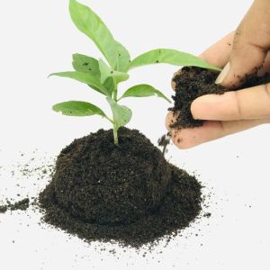 Compost Soil Fertilizer