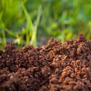Micronutrient Soil Fertilizer