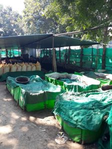 Neem Coated Vermicompost