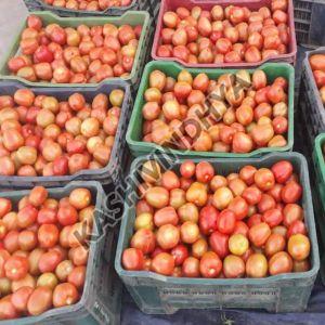 Fresh Raw Tomato