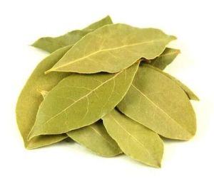 Bay Leafs