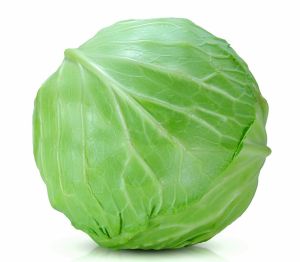 High Quality Cabbage