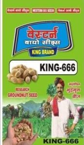 King-666 Groundnut Seeds