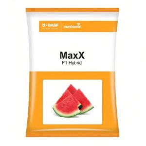 Maxx F1 Hybrid Watermelon Seeds