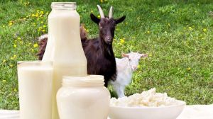 Goat Milk