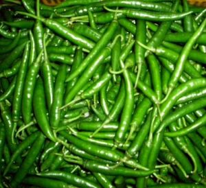 fresh green chilli