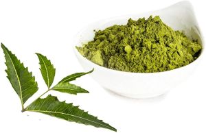 Organic neem leaf powder