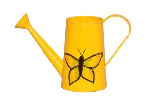 Watering Can Butterfly Print