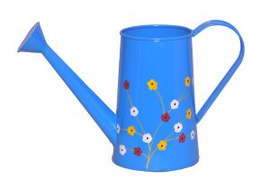 Watering Can Flowers