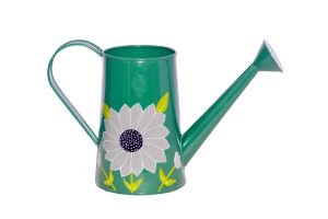 Watering Can Sunflower