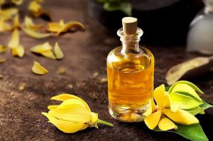 ylang ylang oil