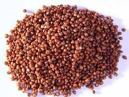 Red Great Sorghum (irumbu solam)