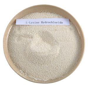 poultry feed additives L-Lysine HCL Best Quality