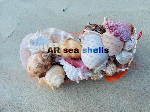 Mixed seashells