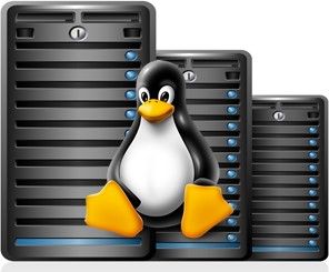 basic linux vps hosting