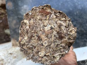 Pure Wood Chips