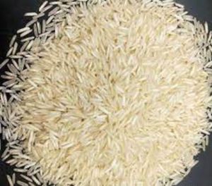 Kolam Non Basmati Rice