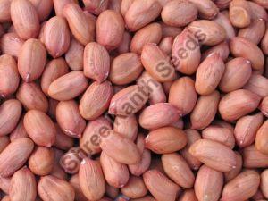 Bold Peanut Kernels