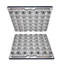 Plastic Egg Tray Mould