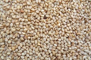 Natural Sesame Seeds For Cooking