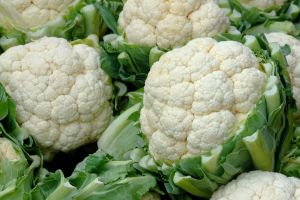 Fresh Cauliflower, Packaging Type : Gunny Bag