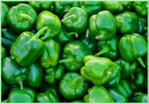 Fresh Green Capsicum, Packaging Size : 5-10kg