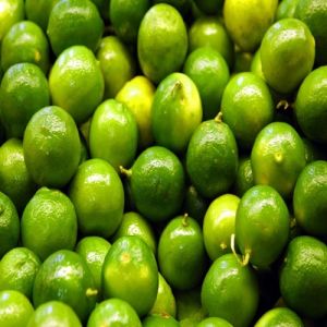 Fresh Sweet Lemon For Human Consumption, Making Juice