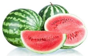 Organic Fresh Watermelon For Human Consumption