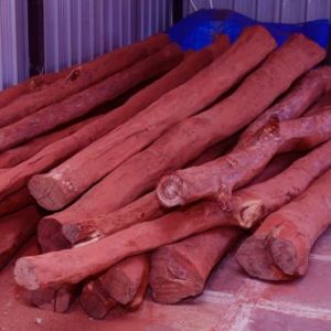 Grinded Red Sandalwood Logs For Making Furniture, Flooring