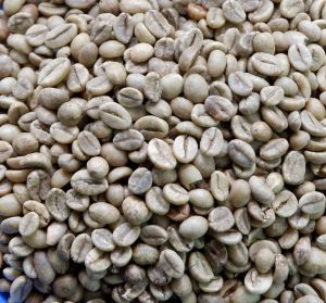 Ethiopian Arabica Robusta Green Coffee Beans