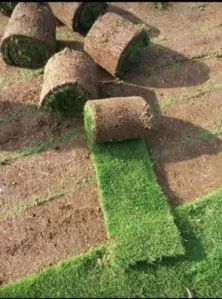 Plastic Artificial Grass Carpet For Garden