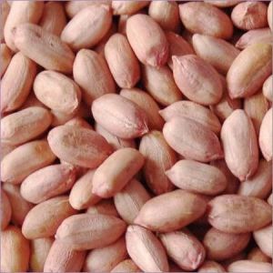 Natural Peanut Kernels For Direct Consumption, Making Oil