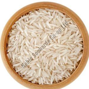 Common Kasturi Basmati Rice, Speciality : Gluten Free, High In Protein