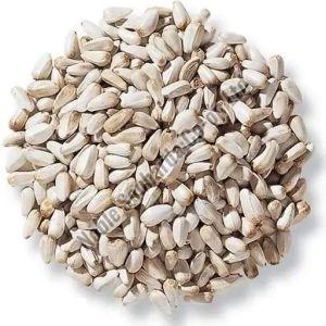 Natural Safflower Seeds For Making Oil