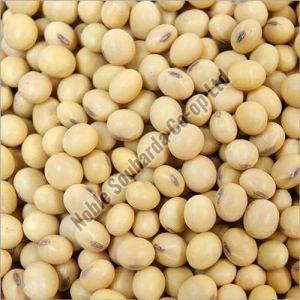 Natural Soybean Seeds For Cooking, Making Oil